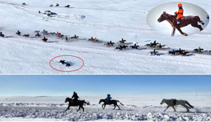 Унаач хүүхдийн эрхийг эрхзүйн актаар хамгаална